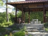 cym03011509