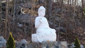 cym_buddha_in_woods